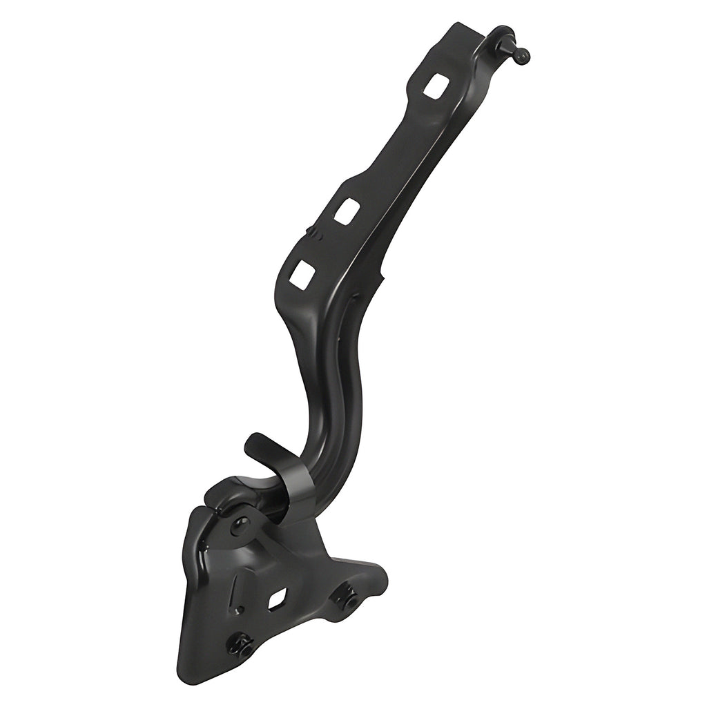 Bisagra de Cofre RADEC 006-0605-02