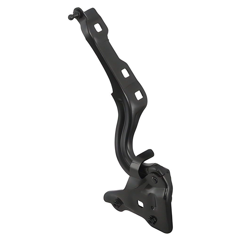 Bisagra de Cofre RADEC 006-0605-03