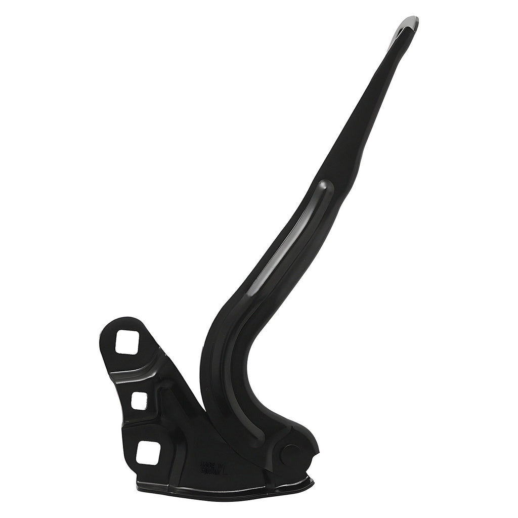 Bisagra de Cofre RADEC 006-0622-01