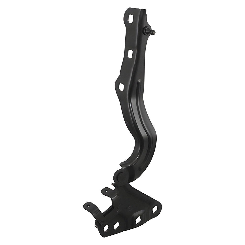 Bisagra de Cofre RADEC 006-0639-08