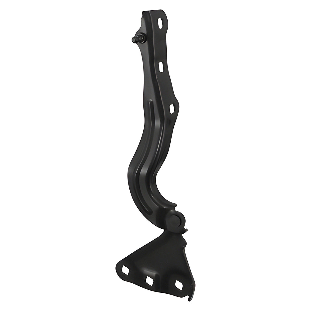 Bisagra de Cofre RADEC 006-0639-09