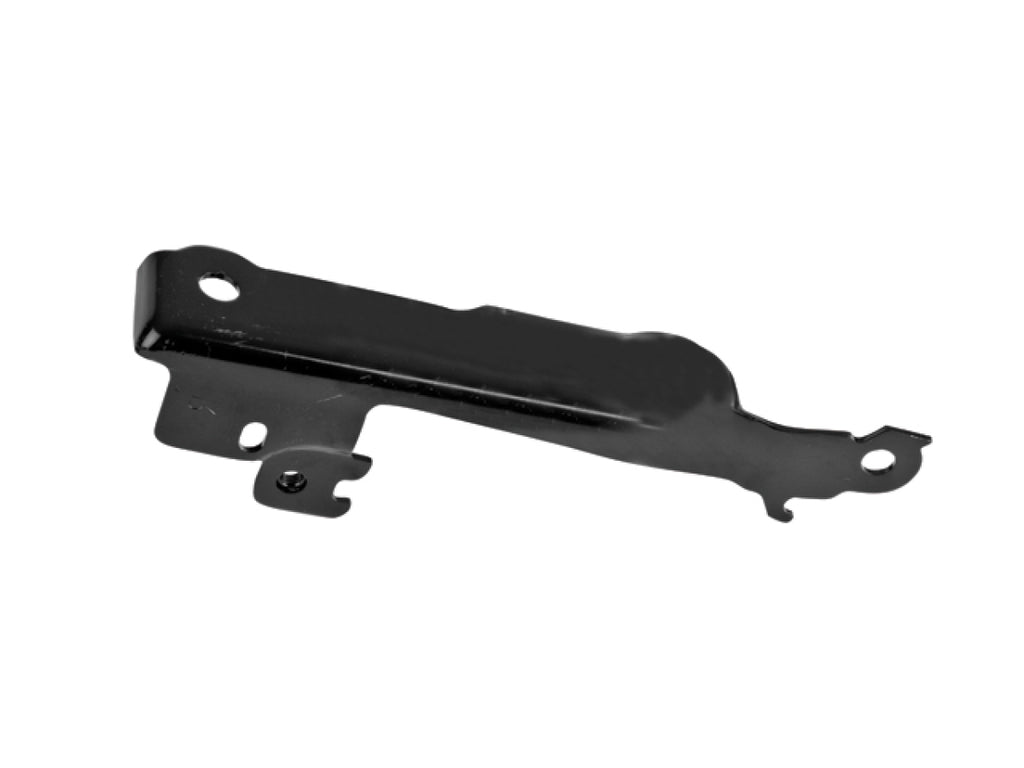 Bisagra Cofre Izquierda API 006-0642-01