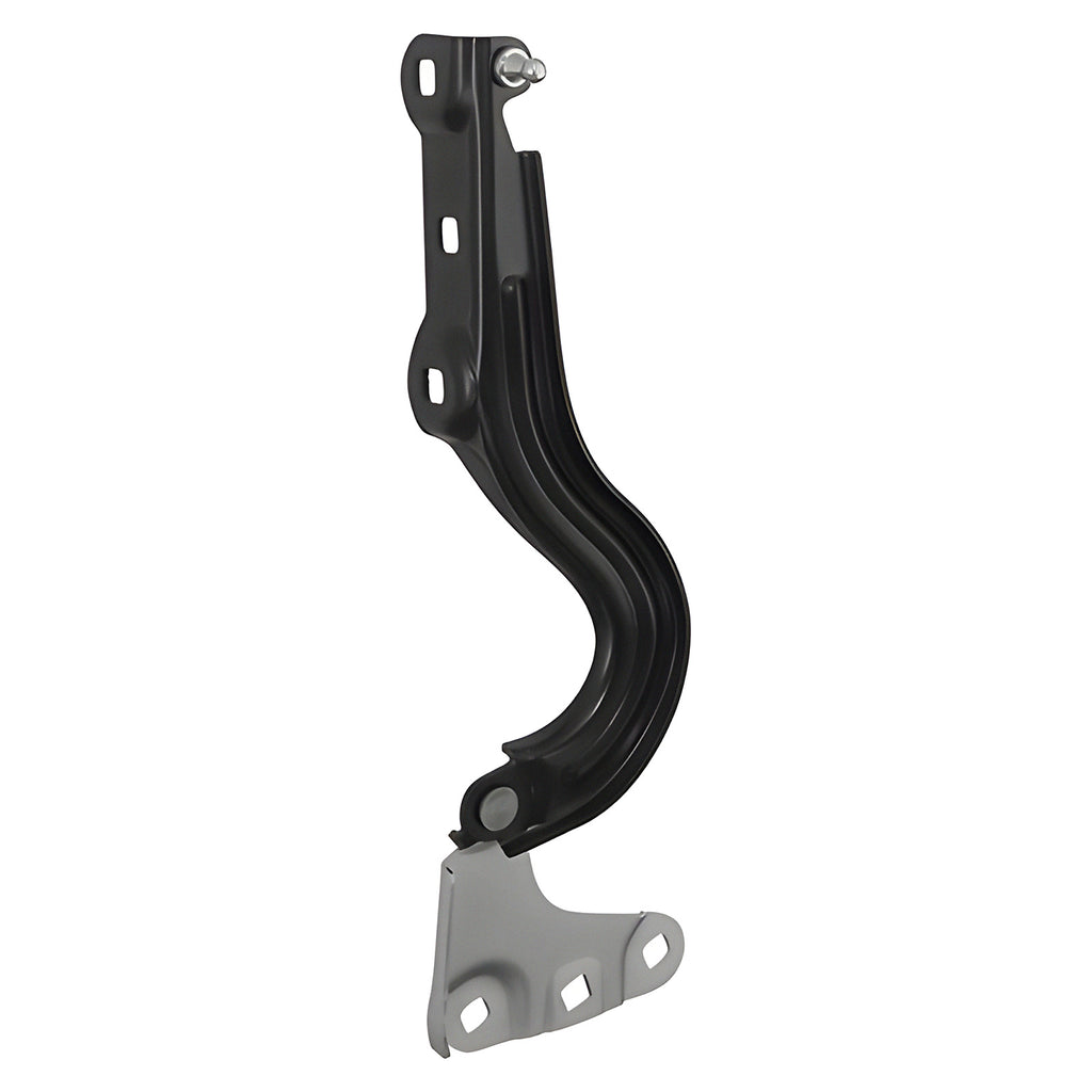 Bisagra de Cofre RADEC 006-0642-02