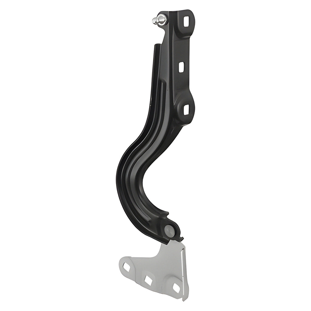 Bisagra de Cofre RADEC 006-0642-03