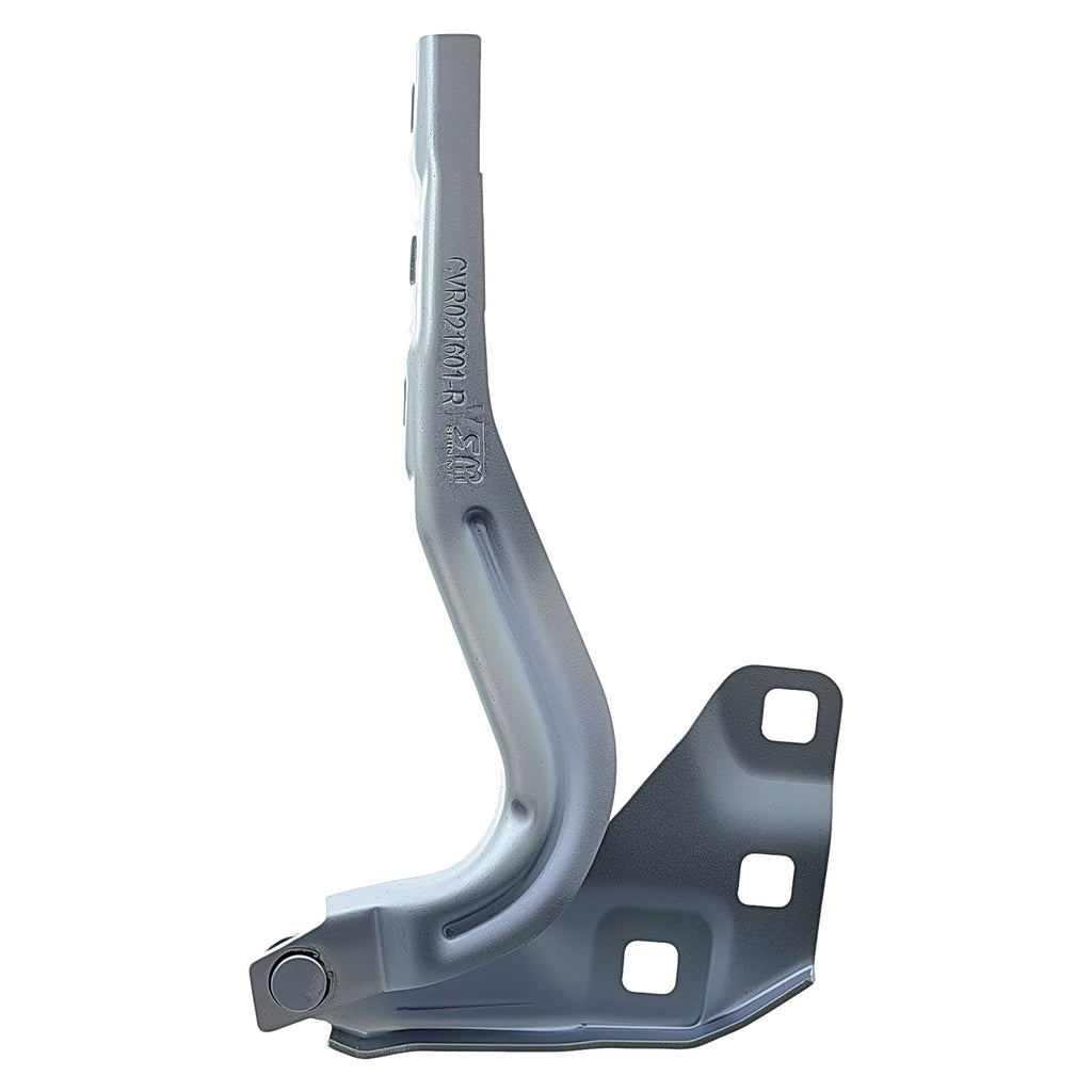 Bisagra de Cofre RADEC 006-0646-00