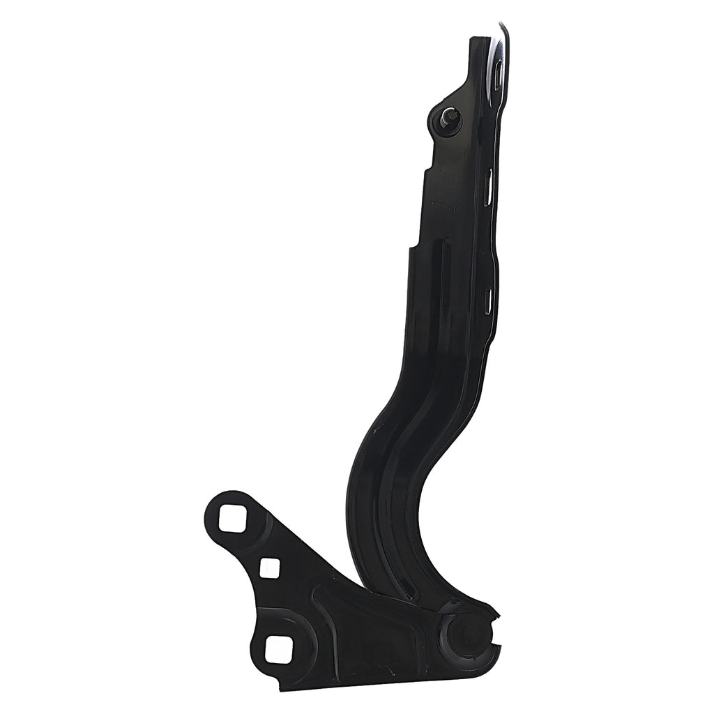 Bisagra de Cofre RADEC 006-0663-00
