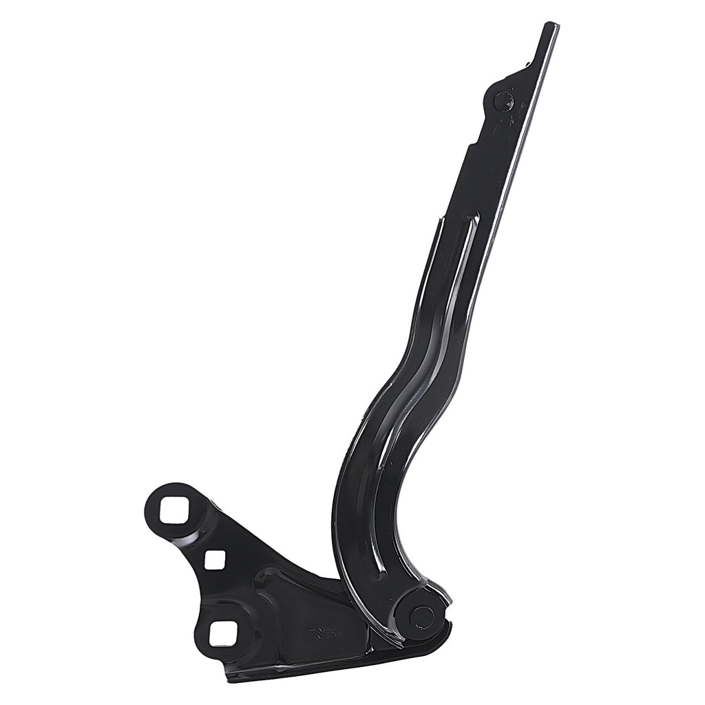Bisagra de Cofre RADEC 006-0663-01