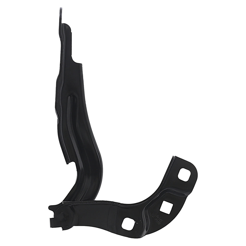 Bisagra de Cofre RADEC 006-0664-01