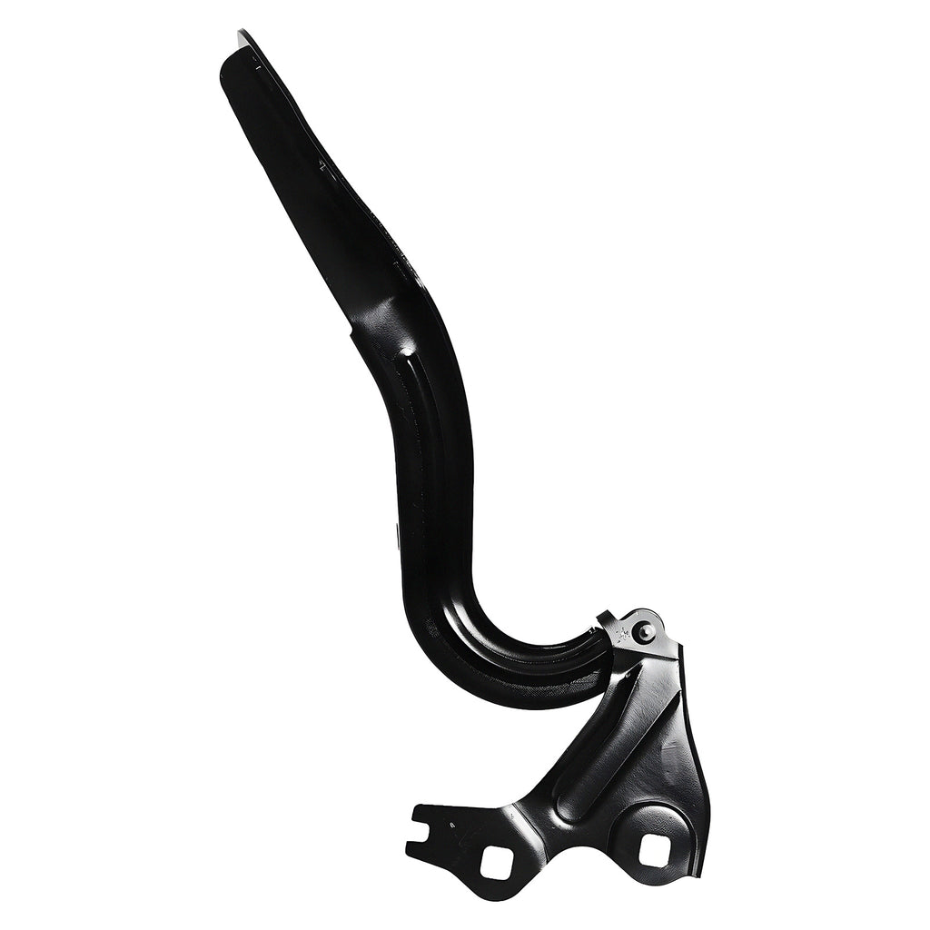 Bisagra de Cofre RADEC 006-0665-02