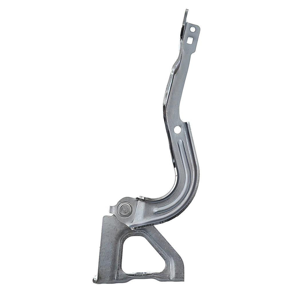 Bisagra de Cofre RADEC 006-0689-01