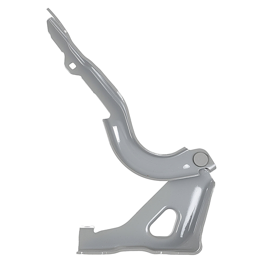Bisagra de Cofre RADEC 006-0911-02