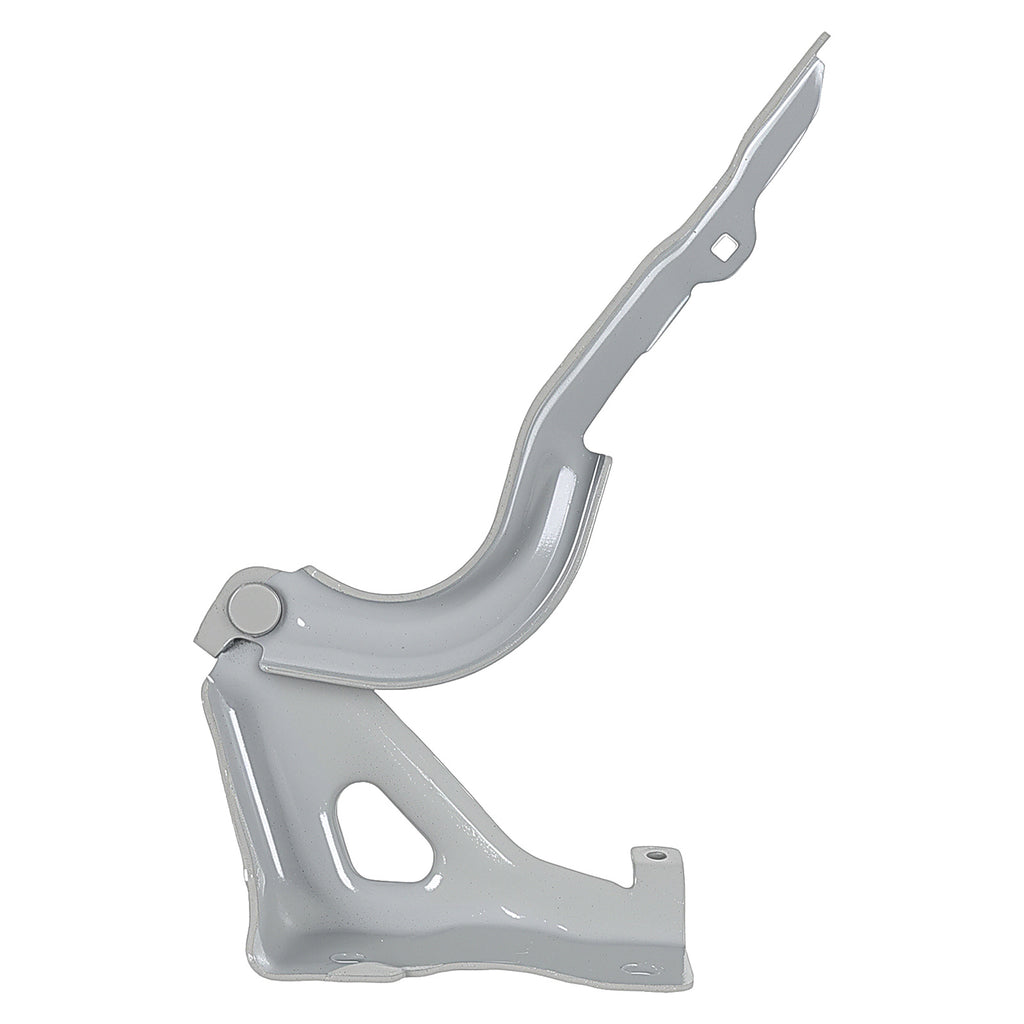 Bisagra de Cofre RADEC 006-0911-03