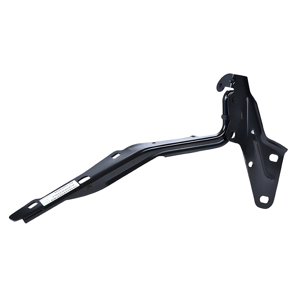 Bisagra Cofre Izquierda TYI 006-0916-11