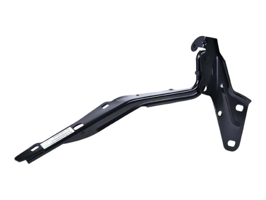 Bisagra Cofre Izquierda TYI 006-0916-11