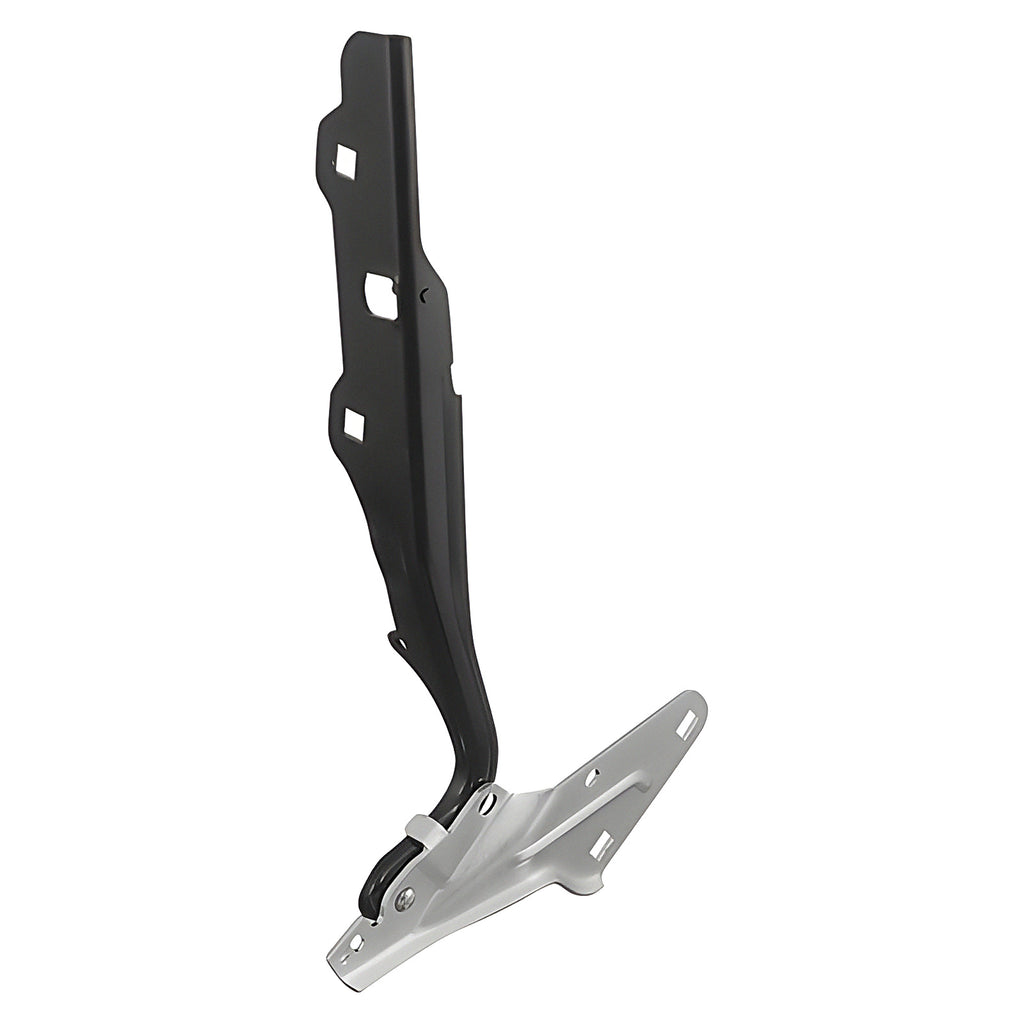 Bisagra de Cofre RADEC 006-0916-12