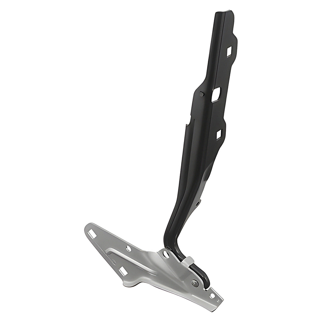 Bisagra de Cofre RADEC 006-0916-13