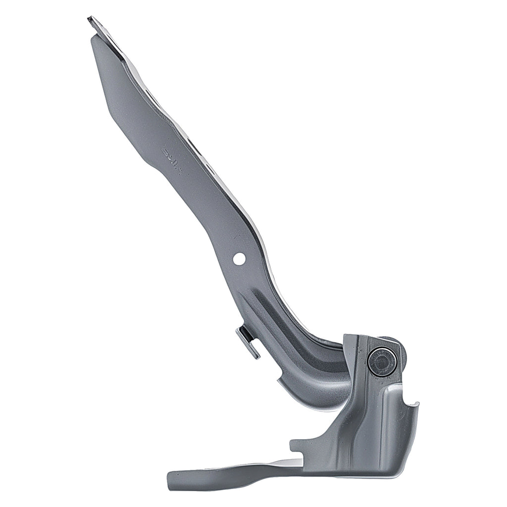Bisagra de Cofre RADEC 006-1114-00