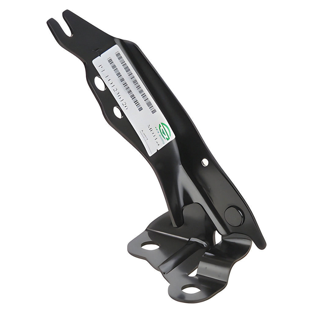 Bisagra Cofre Derecha TYI 006-1209-00