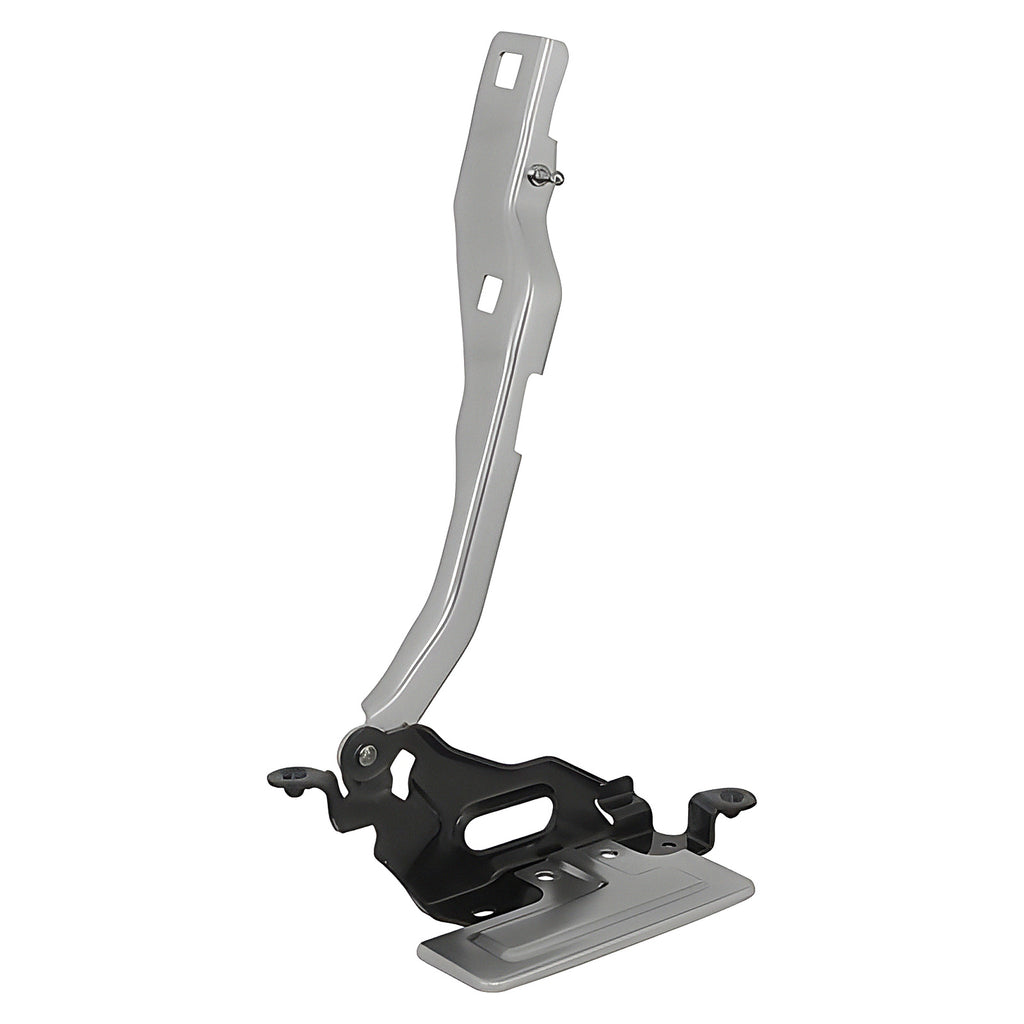 Bisagra de Cofre RADEC 006-1213-02