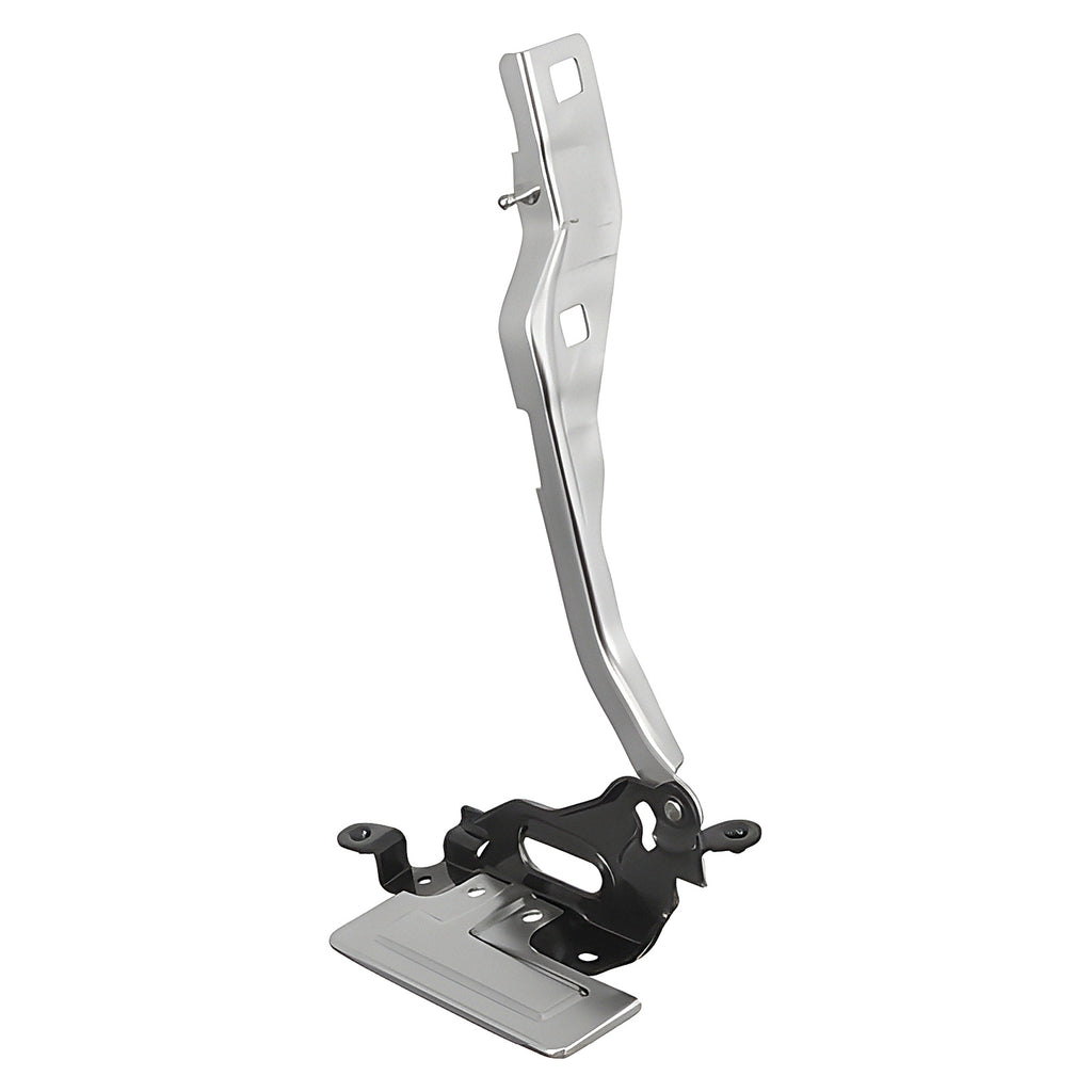 Bisagra de Cofre RADEC 006-1213-03