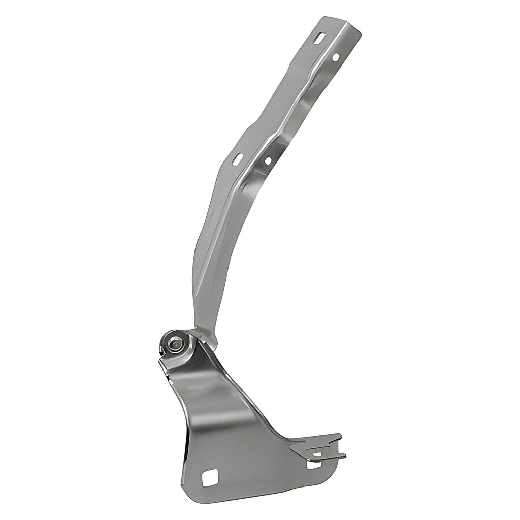 Bisagra de Cofre RADEC 006-1214-06