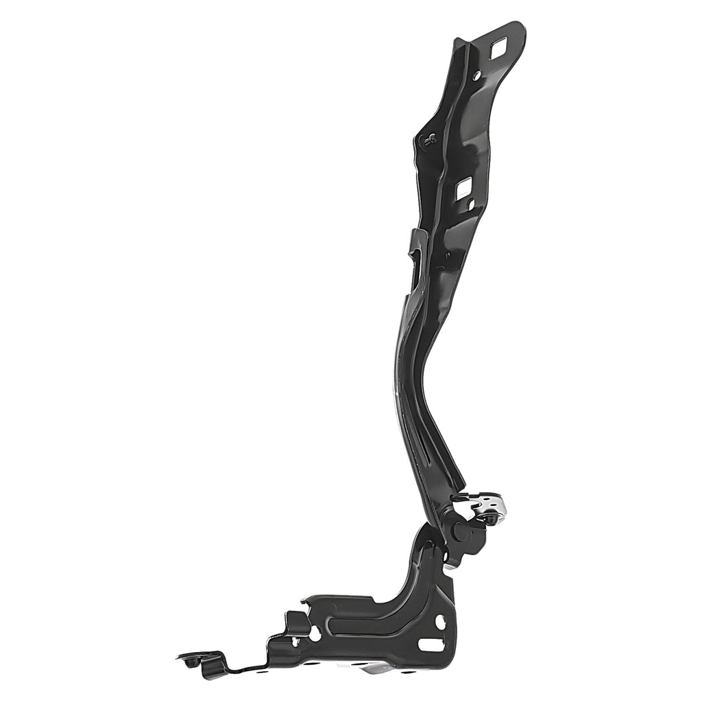 Bisagra de Cofre RADEC 006-1215-10