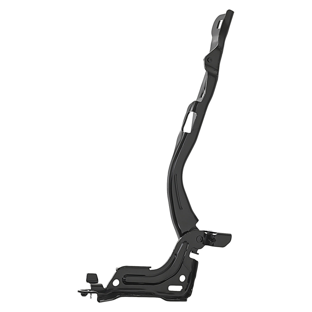 Bisagra de Cofre RADEC 006-1215-11