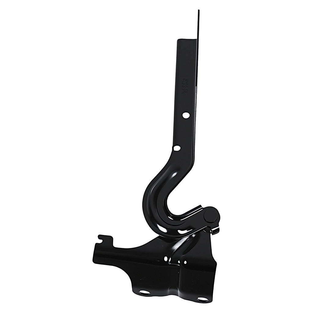 Bisagra de Cofre RADEC 006-1230-06