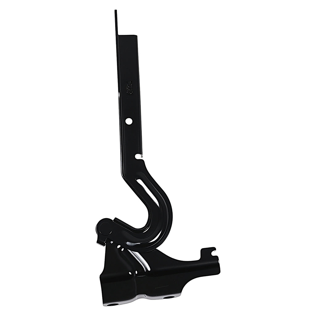 Bisagra de Cofre RADEC 006-1230-07