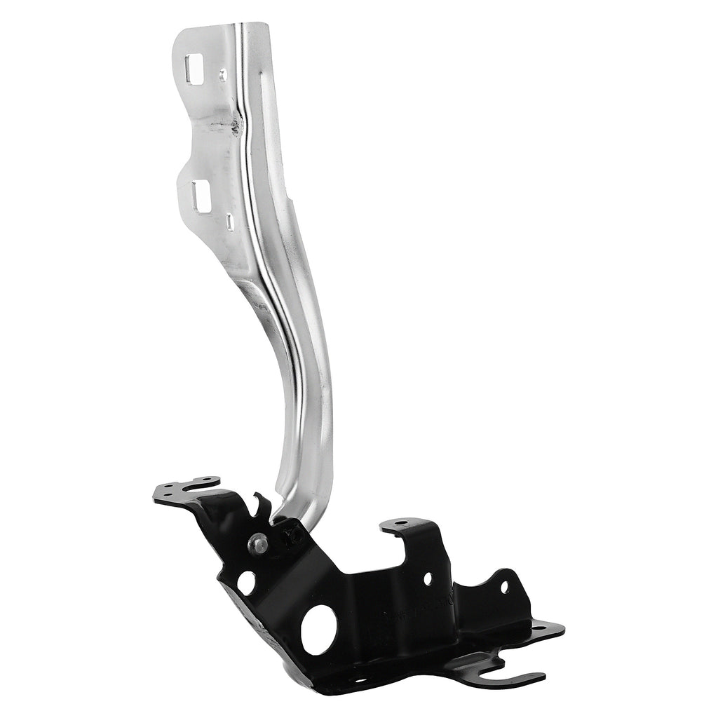 Bisagra de Cofre RADEC 006-1262-00