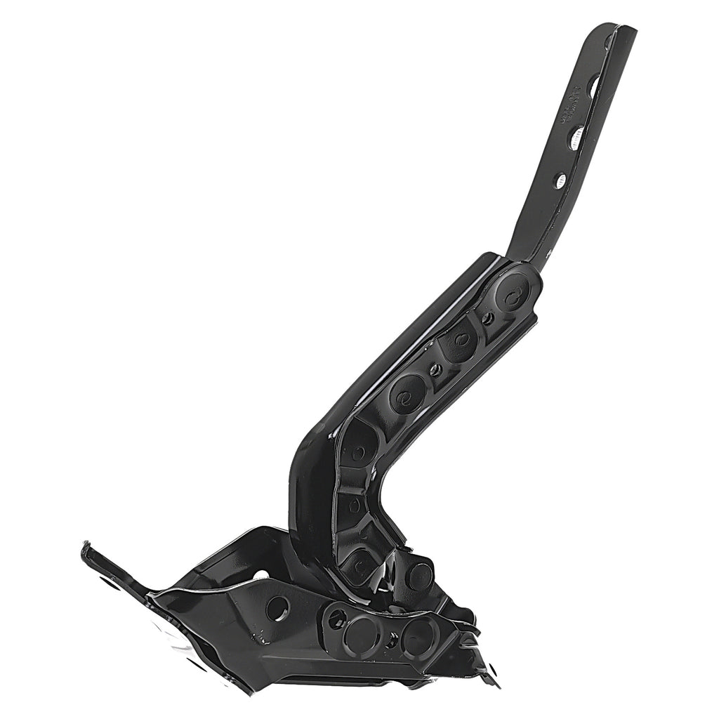 Bisagra de Cofre RADEC 006-1301-08