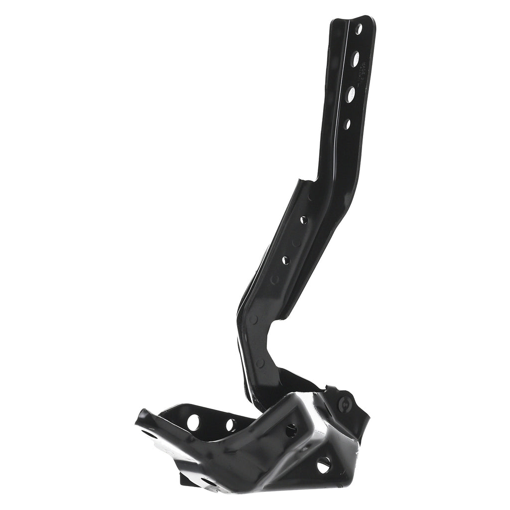 Bisagra de Cofre RADEC 006-1301-09