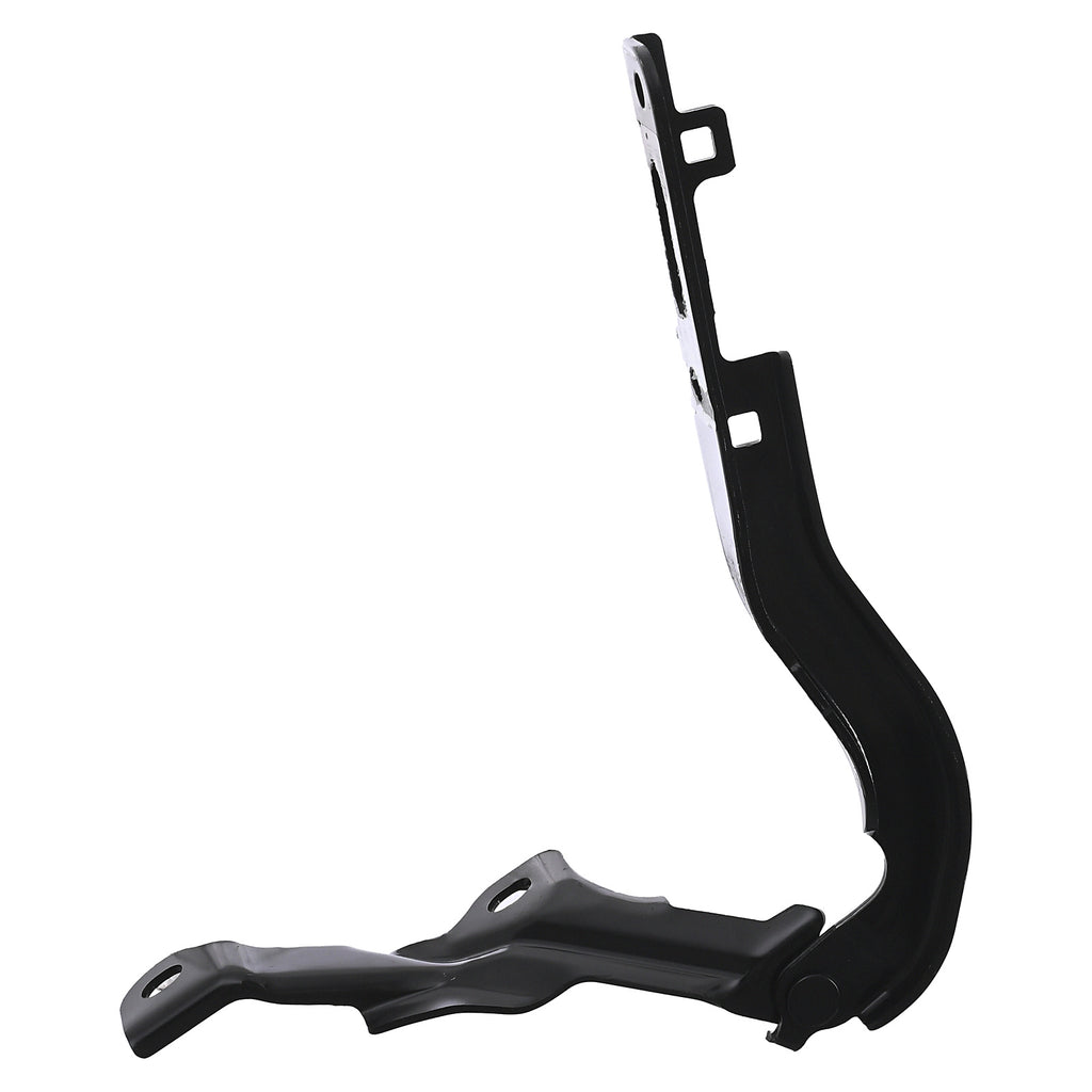 Bisagra de Cofre RADEC 006-1301-10