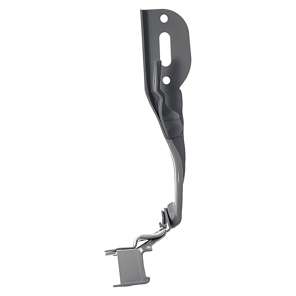 Bisagra de Cofre RADEC 006-1301-11