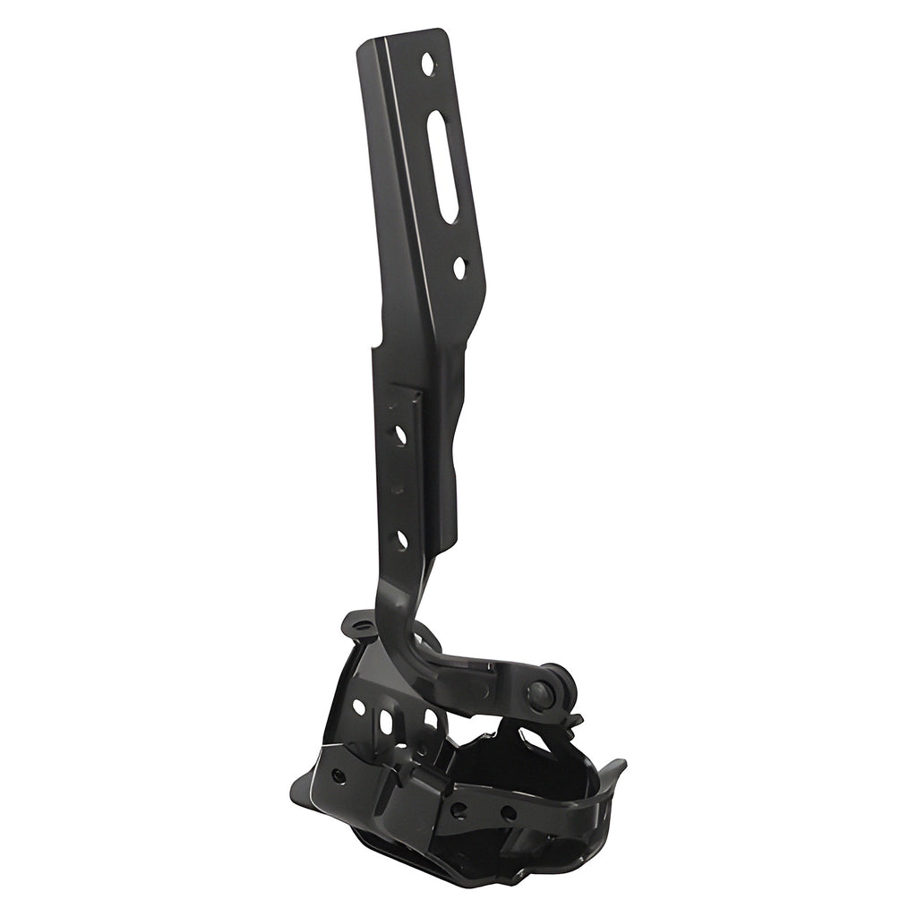 Bisagra de Cofre RADEC 006-1302-12