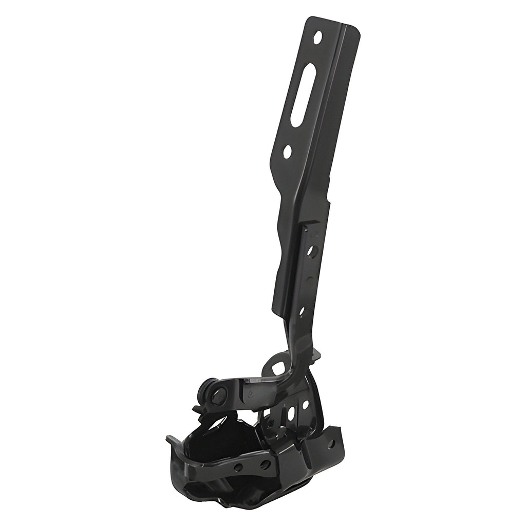 Bisagra de Cofre RADEC 006-1302-13