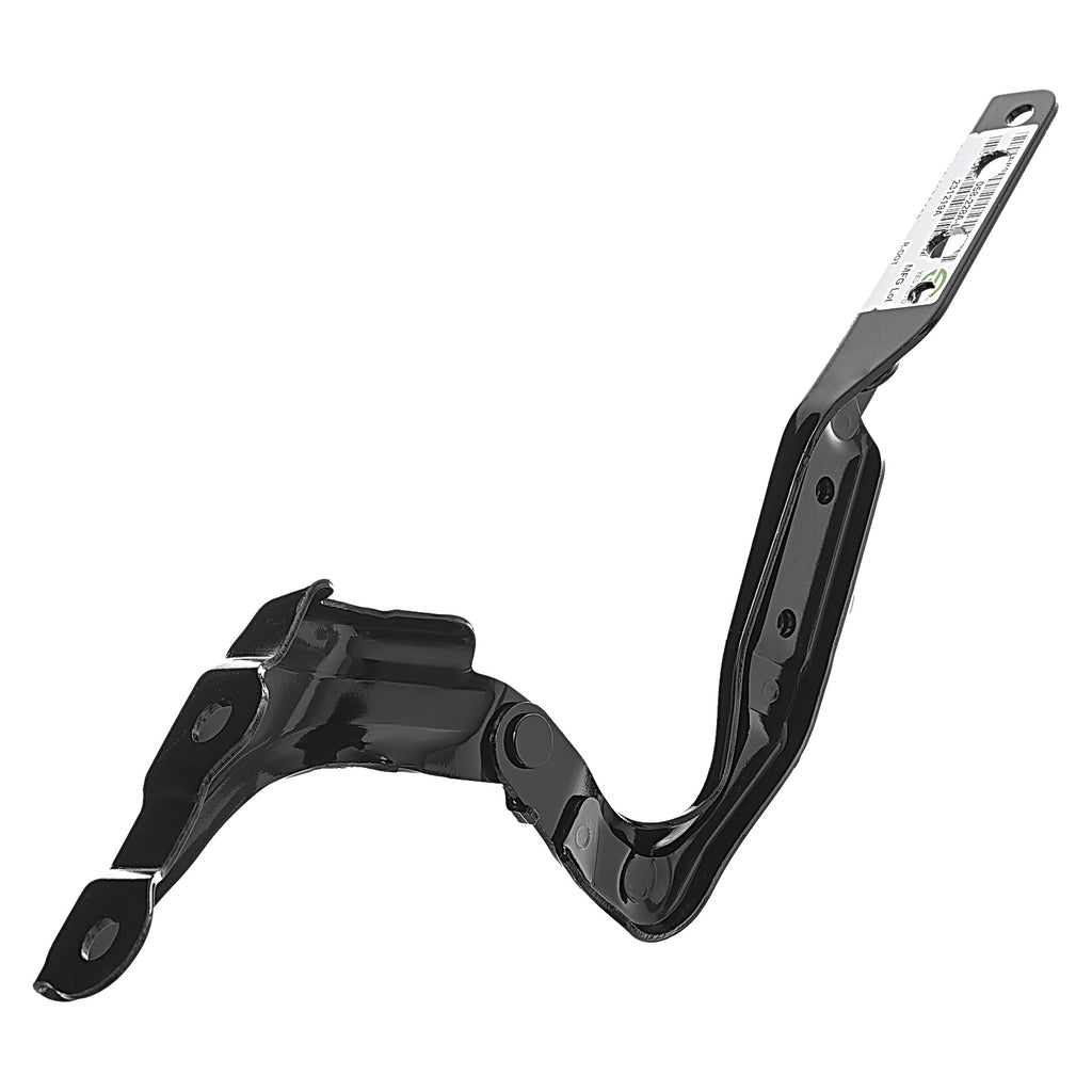 Bisagra de Cofre RADEC 006-1303-09