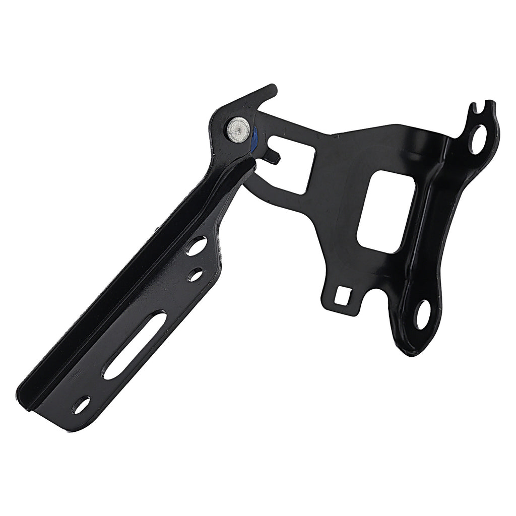 Bisagra de Cofre RADEC 006-1304-02