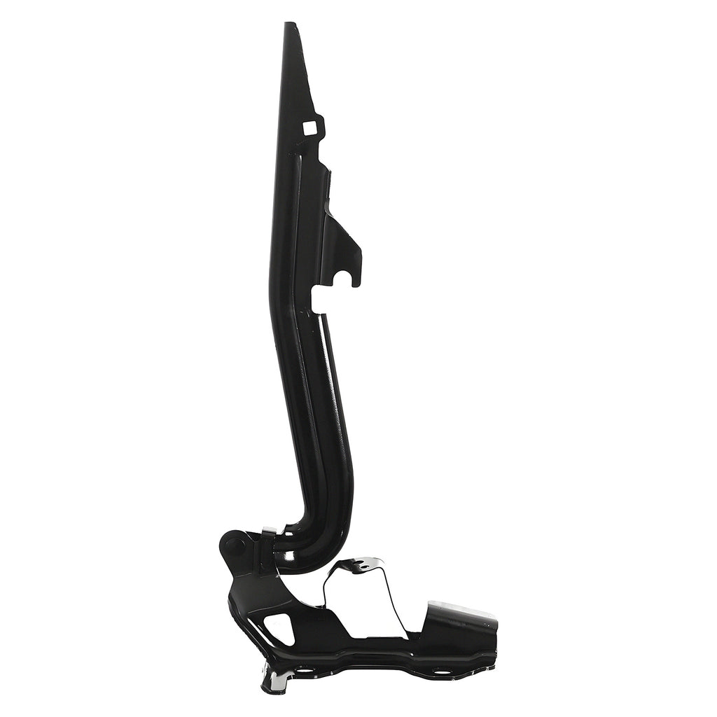 Bisagra de Cofre RADEC 006-1307-00