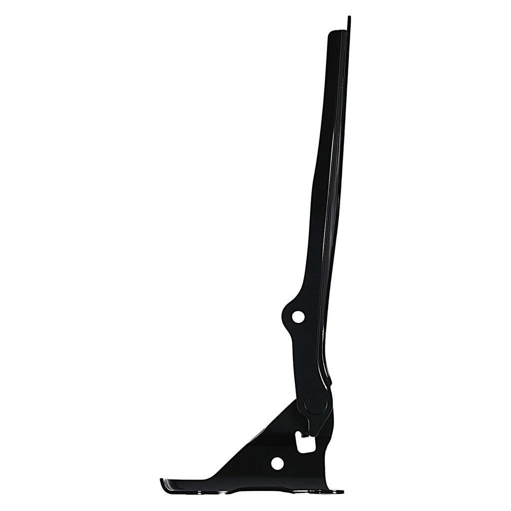 Bisagra de Cofre RADEC 006-1307-02