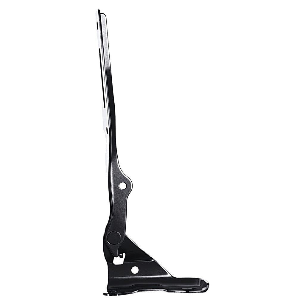 Bisagra de Cofre RADEC 006-1307-03