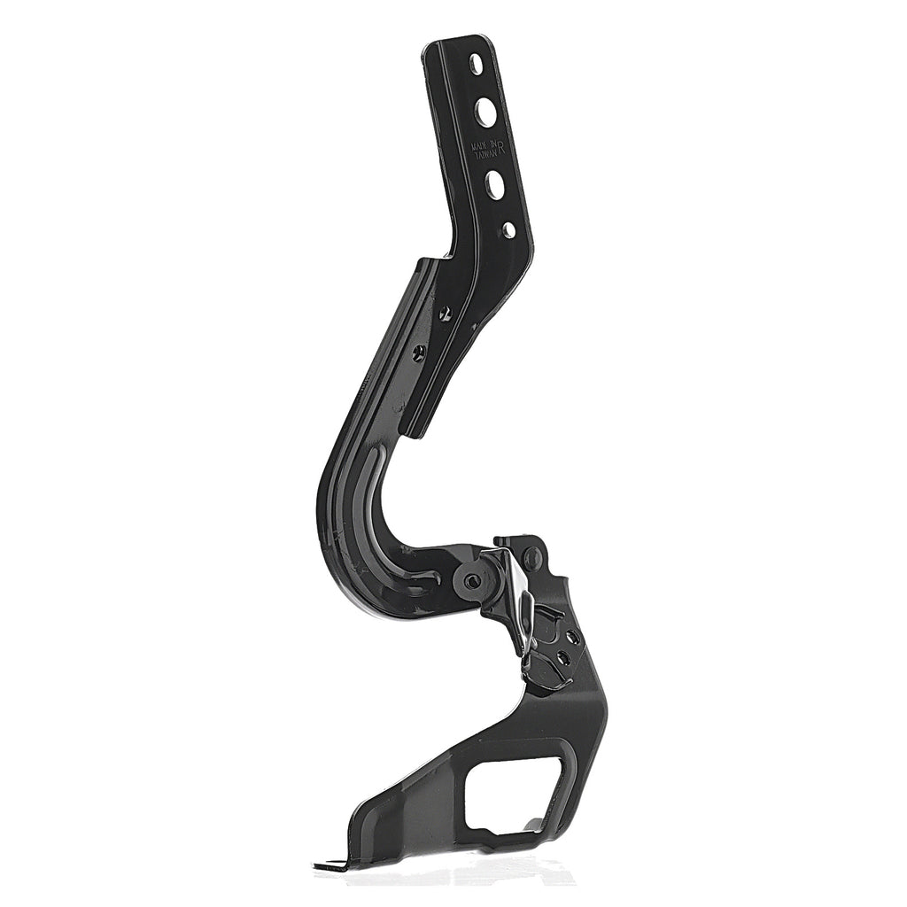 Bisagra de Cofre RADEC 006-1313-02