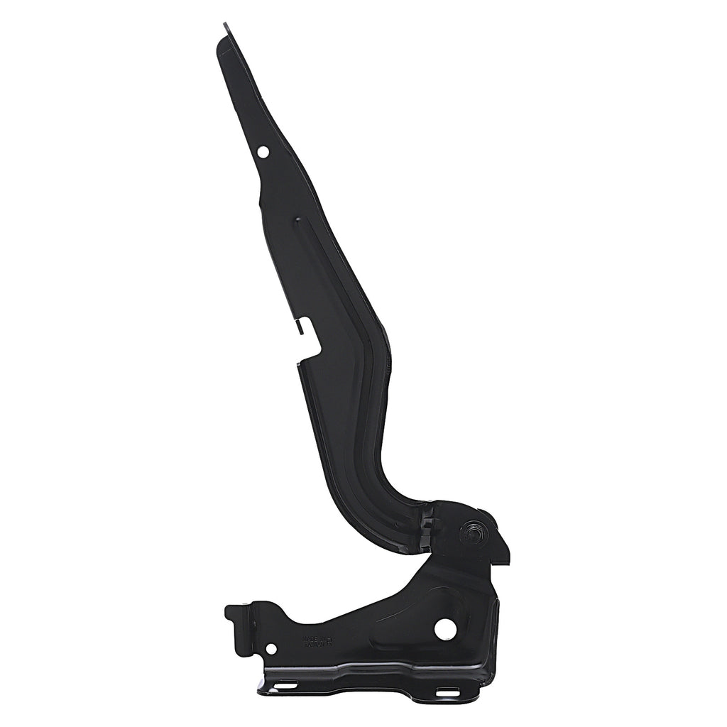 Bisagra de Cofre RADEC 006-1604-00