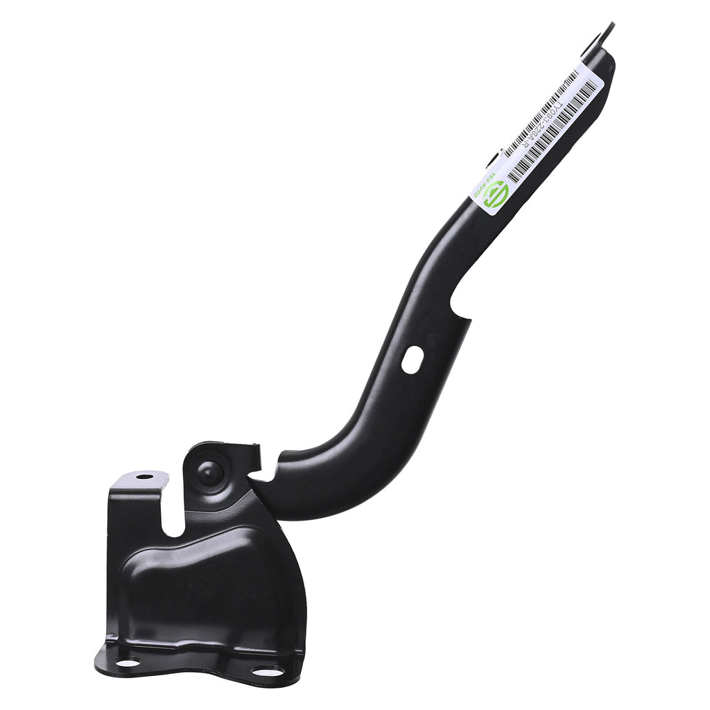 Bisagra de Cofre RADEC 006-1604-01