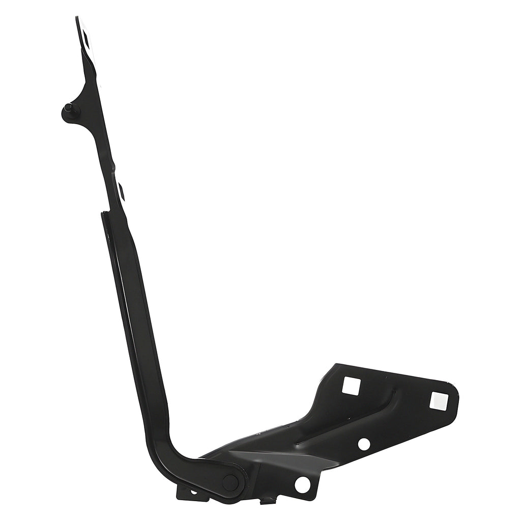 Bisagra de Cofre RADEC 006-1612-00