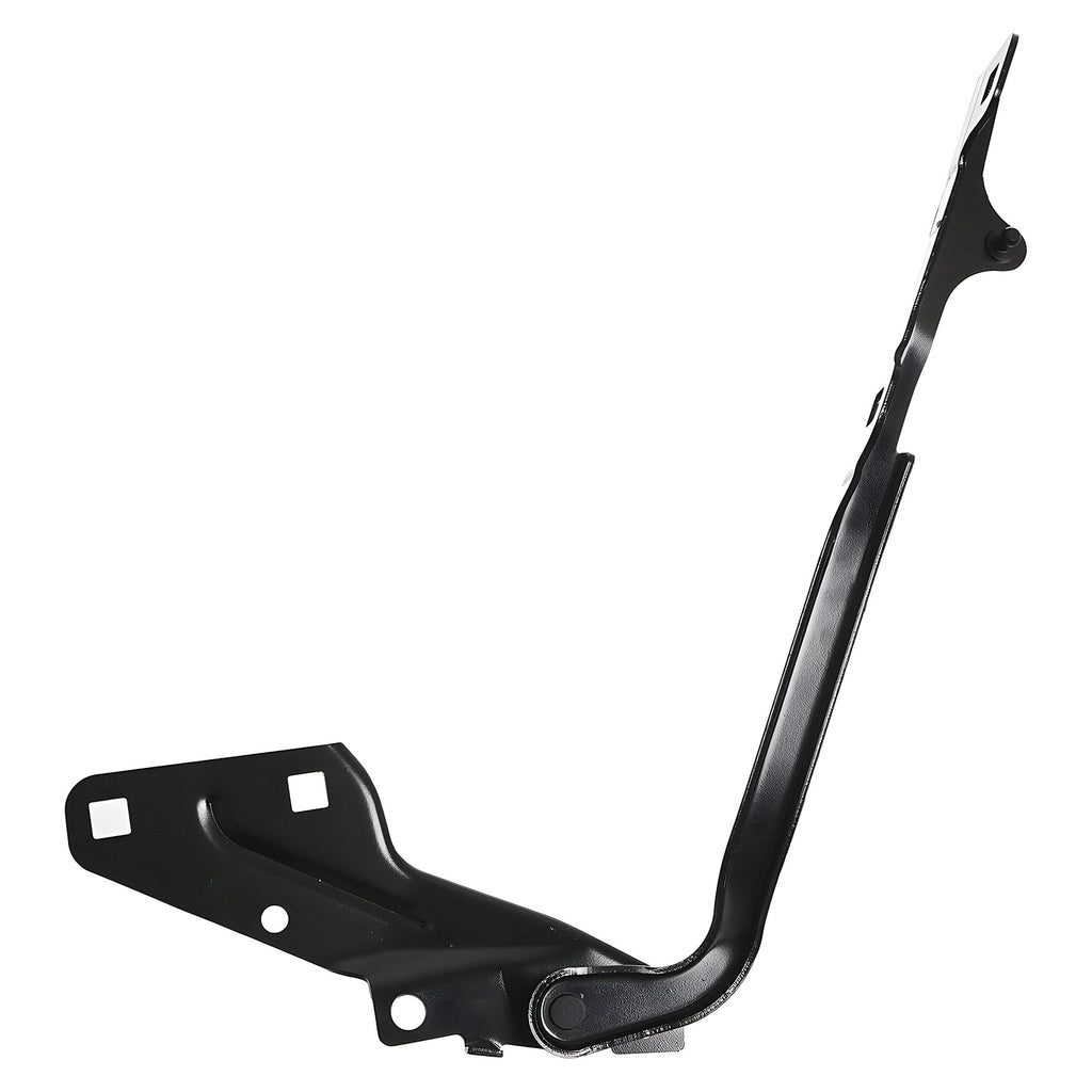 Bisagra de Cofre RADEC 006-1612-01