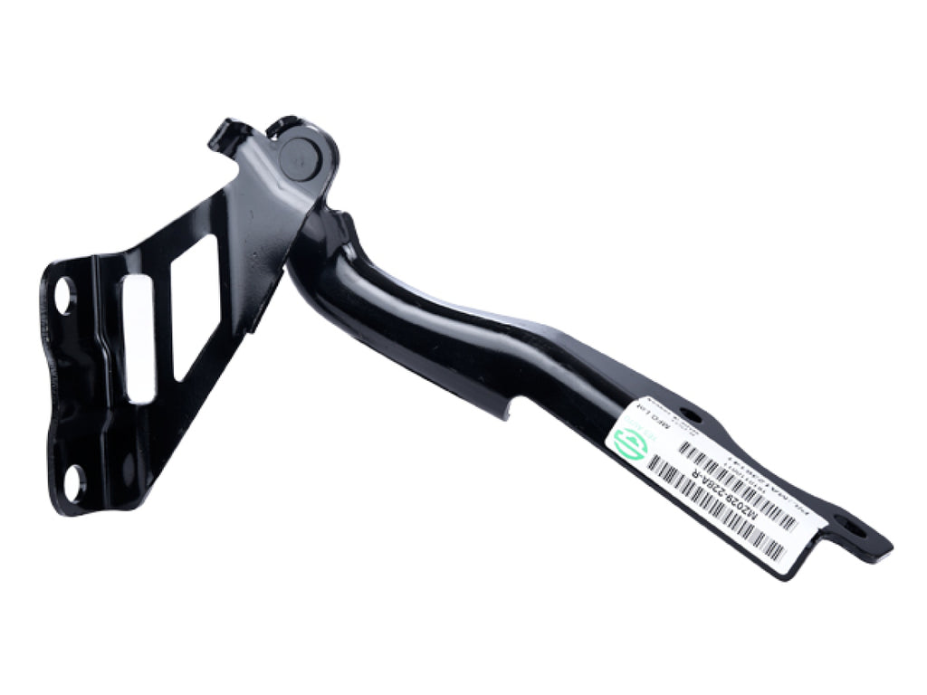 Bisagra Cofre Derecha TYI 006-1901-02