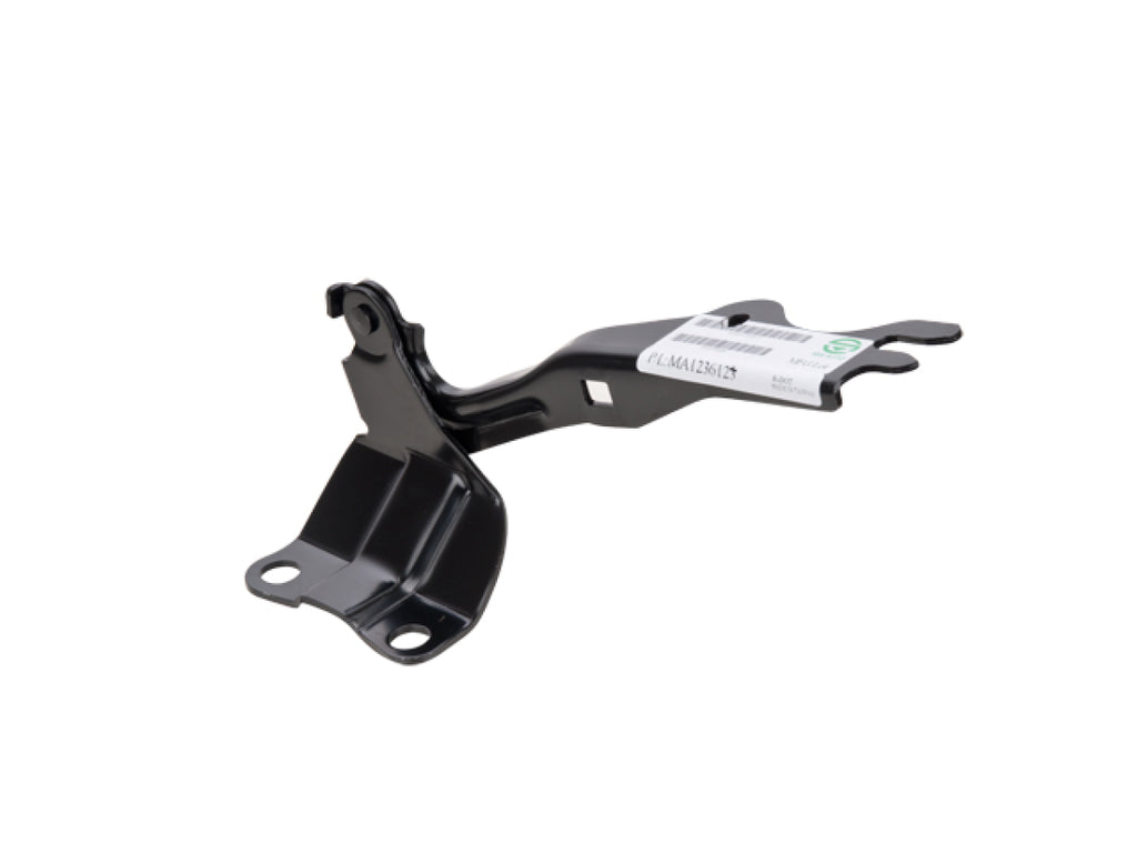 Bisagra Cofre Derecha TYI 006-1902-00