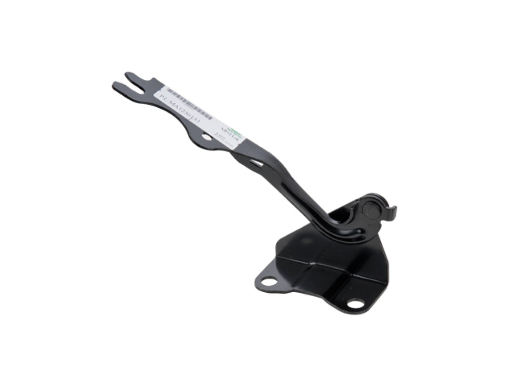 Bisagra Cofre Derecha TYI 006-1909-00