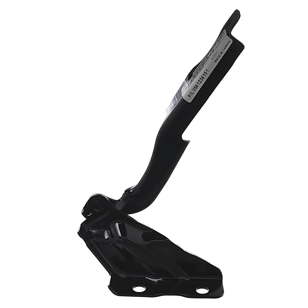 Bisagra de Cofre RADEC 006-1909-04